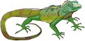 Iguane Logo